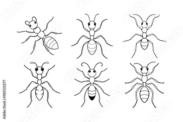 Fototapeta Velvet Ant (Mutillidae) insect design, labeled line art vector illustration.
