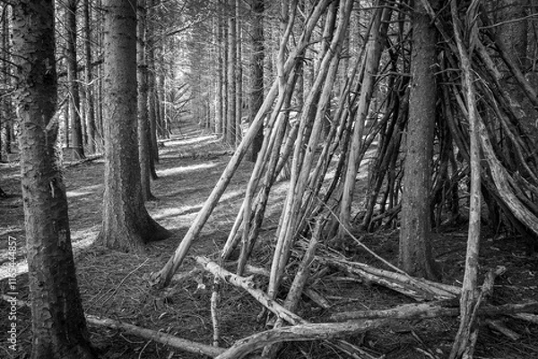 Obraz log shelter tepee