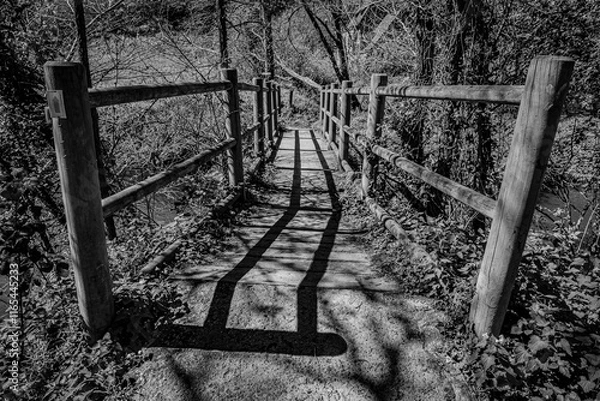 Obraz shadow on the bridge