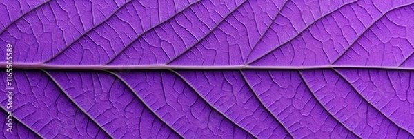 Fototapeta Close up of a purple leaf with veins texture background.wallpaper microscopic leaf with vein structure.
