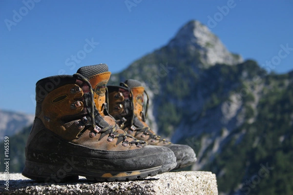 Obraz hiking boots