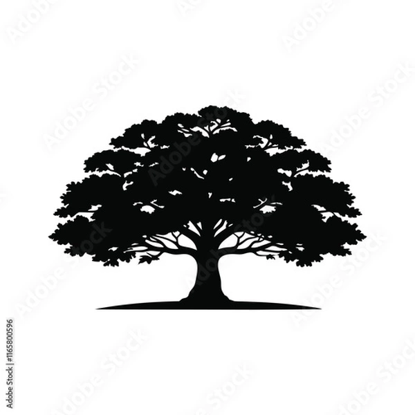 Obraz Oak tree silhouette isolated on white