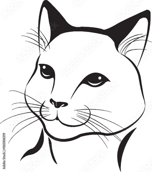 Obraz black and white cat