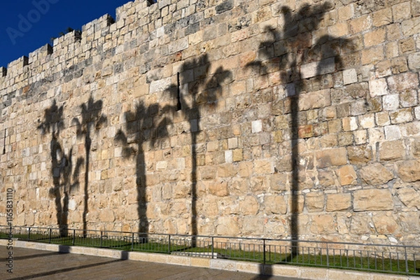 Obraz shadow of palm tree on fortress wall
