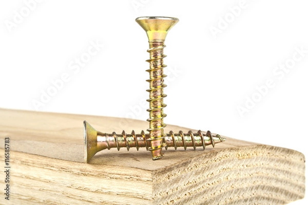 Obraz Golden screws screwed into wooden plank