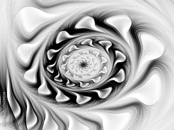 Obraz Black and white fractal. Abstract fractal. Fractal art background for creative design. Decoration for wallpaper desktop, poster, cover booklet, card. Psychedelic. Print for clothes, t-shirt.