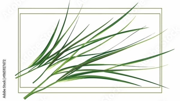 Fototapeta Fresh Garlic Chives Leaf Vector Illustration Isolated on White Background