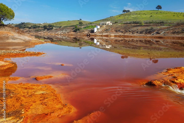Fototapeta Death and desolation in the Tinto river, Huelva. As a possible result of the mining, Tinto river is notable for being very acidic and its deep reddish hue is due to iron