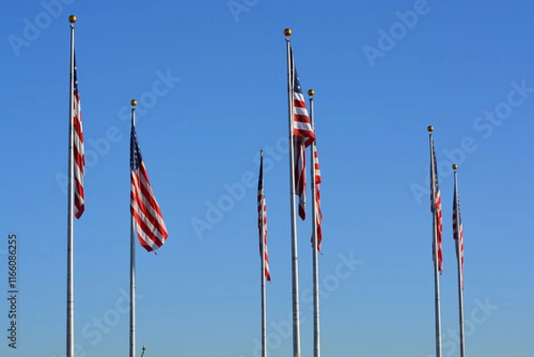 Obraz American flags