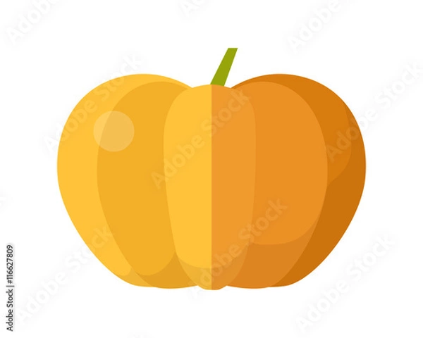 Fototapeta Pumpkin Vector Illustration in Flat Style Design.  