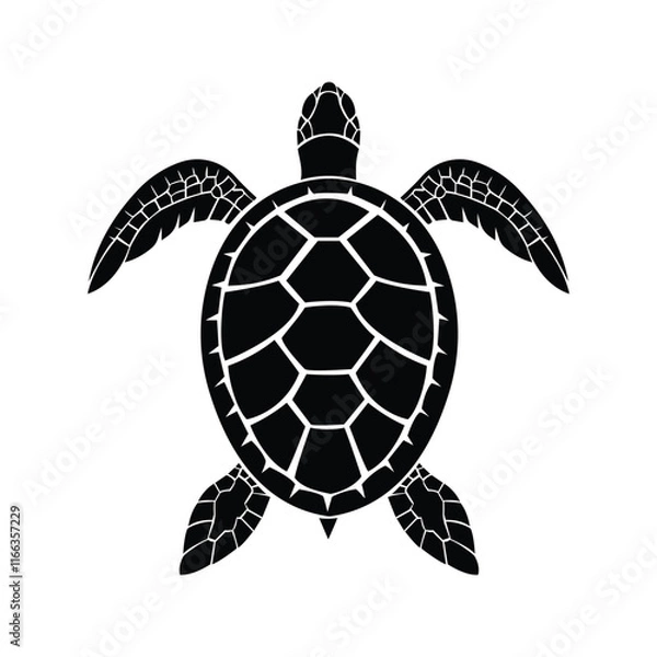 Obraz Turle +tortoise Selotte vector design