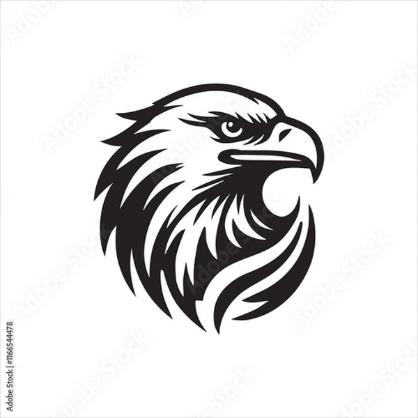 Fototapeta eagle head silhouette