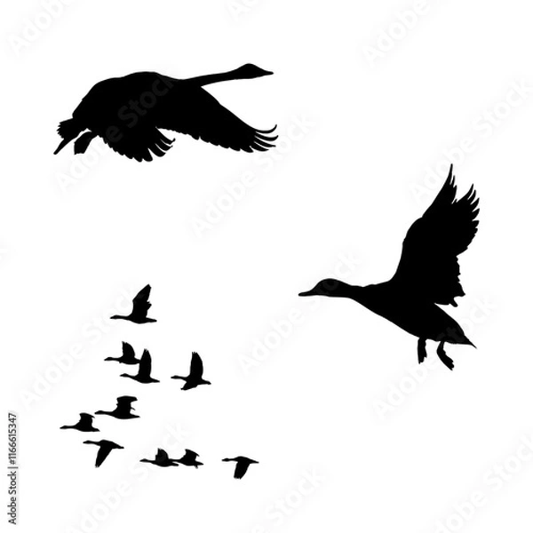 Fototapeta 動物シルエット（白鳥）