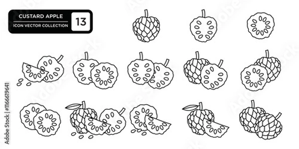 Fototapeta Custard apple icon collection, editable and resizable vector icon templates.