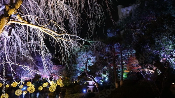 Fototapeta 夜の日本庭園