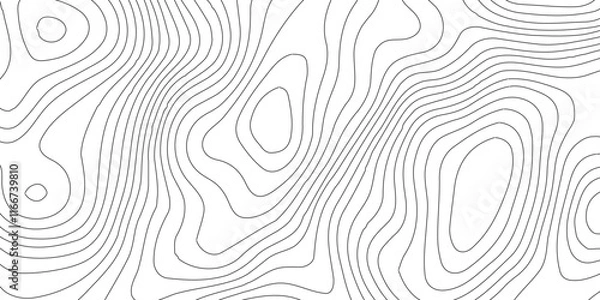 Obraz Abstract Blank Detailed Topographic Contour Map Subtle White Vector Background, Topography map art curve drawing. geographic contour map paper texture,paper texture Imitation of a geographical map sha