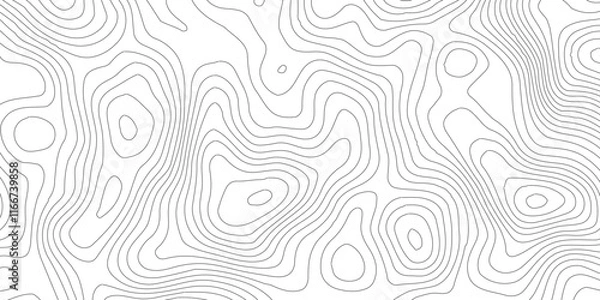 Obraz Abstract Blank Detailed Topographic Contour Map Subtle White Vector Background, Topography map art curve drawing. geographic contour map paper texture,paper texture Imitation of a geographical map sha