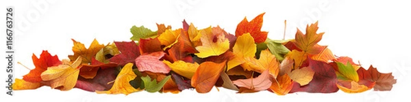 Fototapeta A pile of autumn leaves on a white background