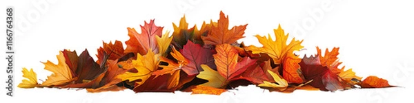 Obraz A pile of autumn leaves on a white background