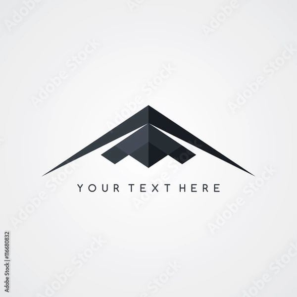 Obraz stealth logo aircraft airplane logotype