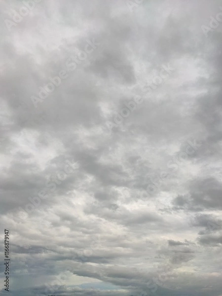 Obraz Malabon dike on a cloudy new year afternoon