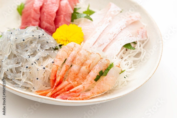 Fototapeta 白背景に刺身の盛り合わせ