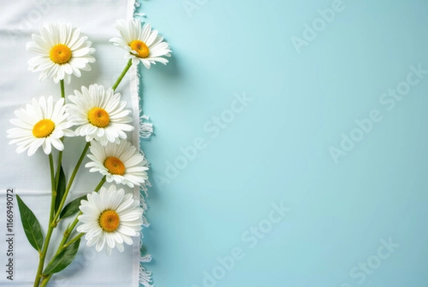Fototapeta Three white daisies with yellow centers on a light blue background.