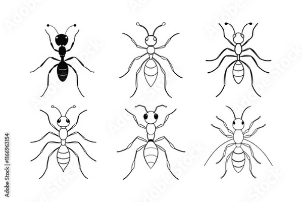 Fototapeta Sahara Desert Ant (Cataglyphis)  insect design, labeled line art vector illustration.