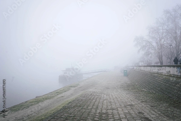 Obraz Foggy morning on the coast of Danube Novi Sad Serbia