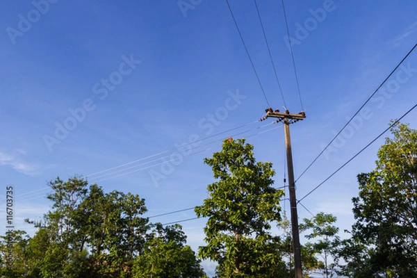 Obraz electric wire on the post
