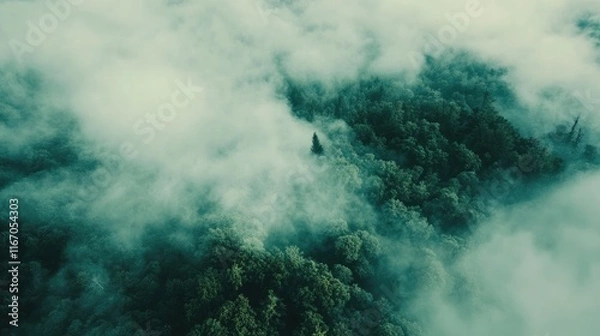 Obraz Aerial view of a tropical rainforest with low fog in the morning, a top-down view against a white sky background. A flying drone captures aerial images from above to capture distant trees and misty