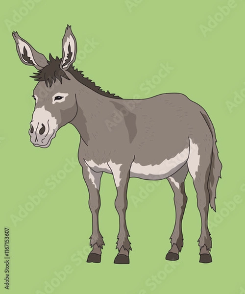 Obraz Mule Mules Standing Side View