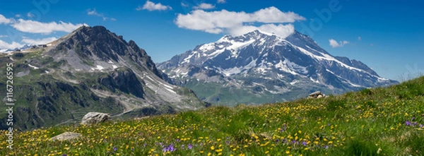 Obraz górska łąka latem