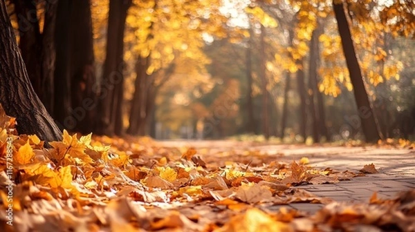 Fototapeta A serene autumn scene with golden leaves covering a path in a tranquil park.