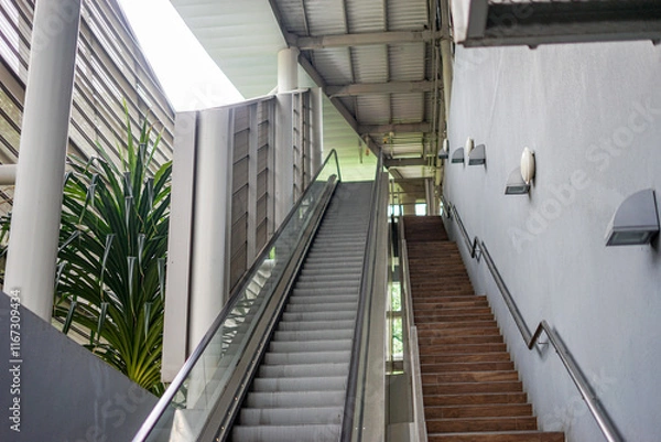 Obraz Escalator next to stairs