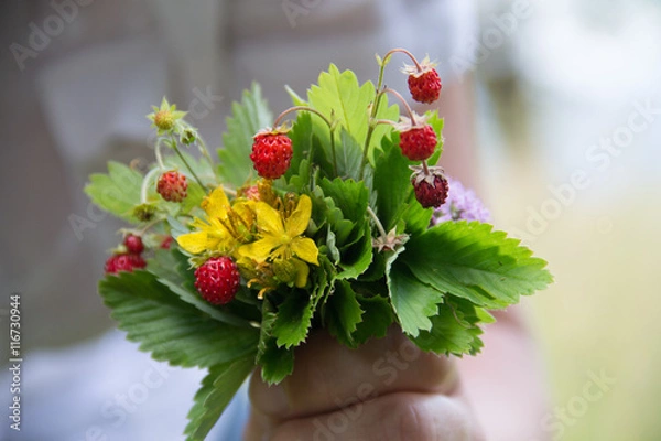 Obraz Букет из земляники лесной с цветами