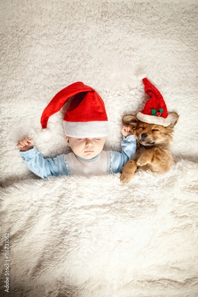 Obraz schlafen mit Welpe