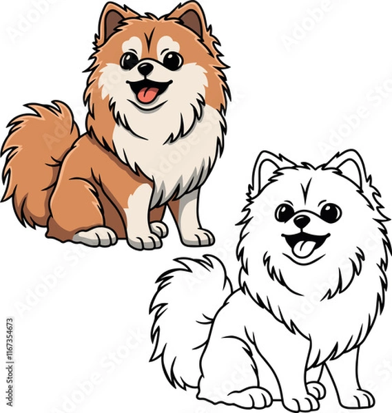 Fototapeta Pomeranian Spitz vector dog puppy