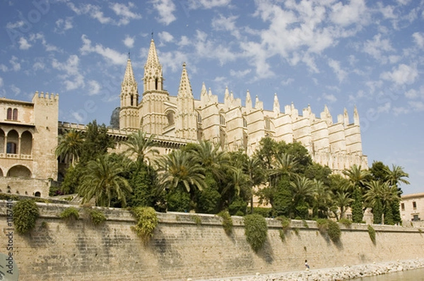 Obraz palma cathedral