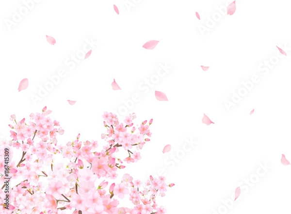 Obraz 桜の木ー美しい薄いピンク色の桜の花と花びら春の水彩白バックフレーム背景素材イラスト