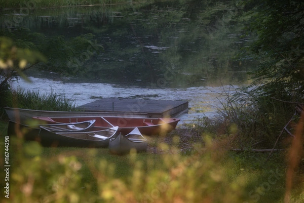 Obraz Canoes on a Pond