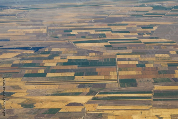 Fototapeta Aerial view of irrigated circular fields in Oregon.