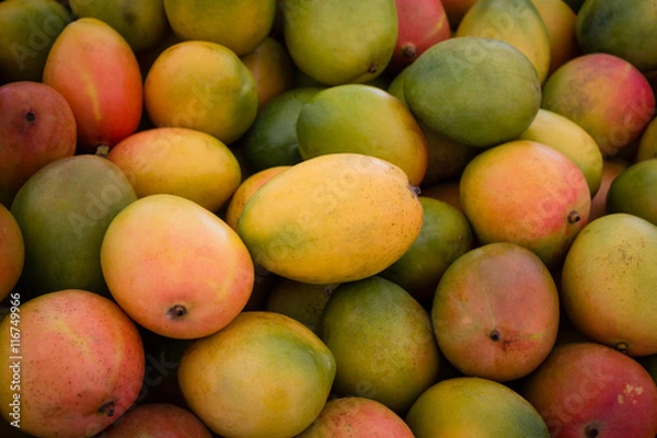 Obraz kupie świeżych owoców mango