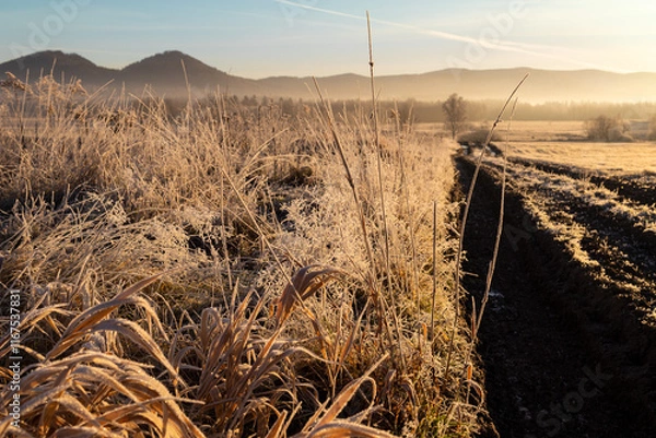 Fototapeta Sunrise in Rudawy Janowickie. Frozen grass in the sun's rays. Country road