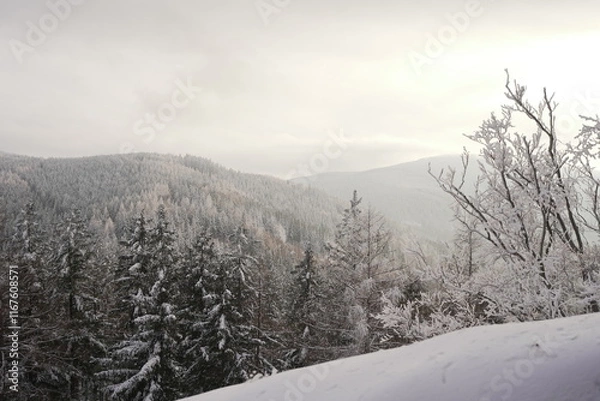 Obraz winter landscape in the mountains