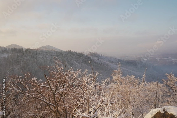 Obraz landscape with fog