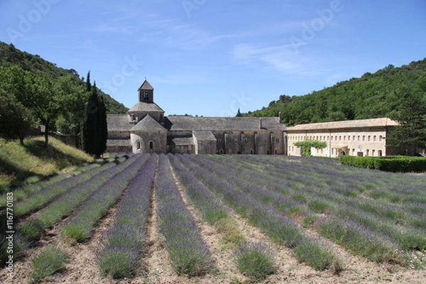 Fototapeta Old monastery with lavender field