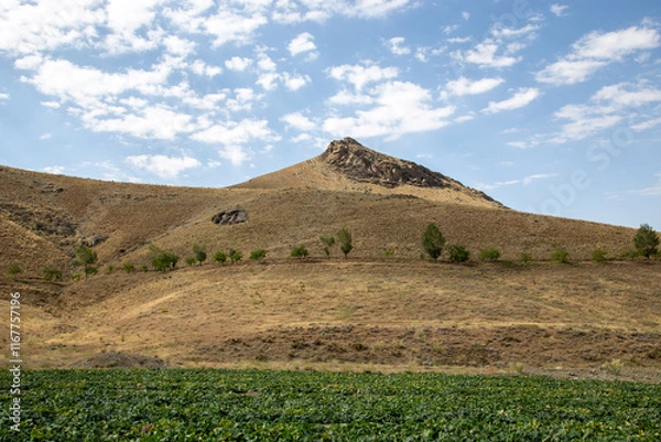 Obraz middle eastern landscape hills mountains and trees with blue skies 