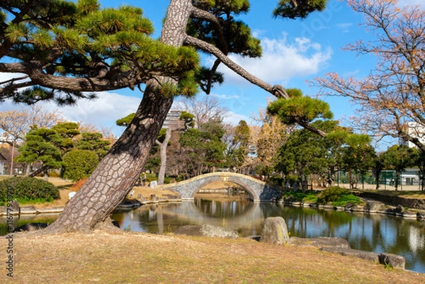 Fototapeta 池のそばの松の枝越しに太鼓橋