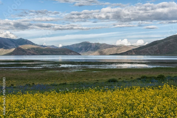 Obraz Beautiful tibetan landscape beetwen Samding Monastery on Yamdrok Lake, Tibet